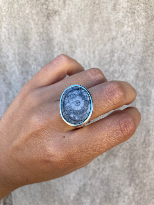 ANILLO OJO